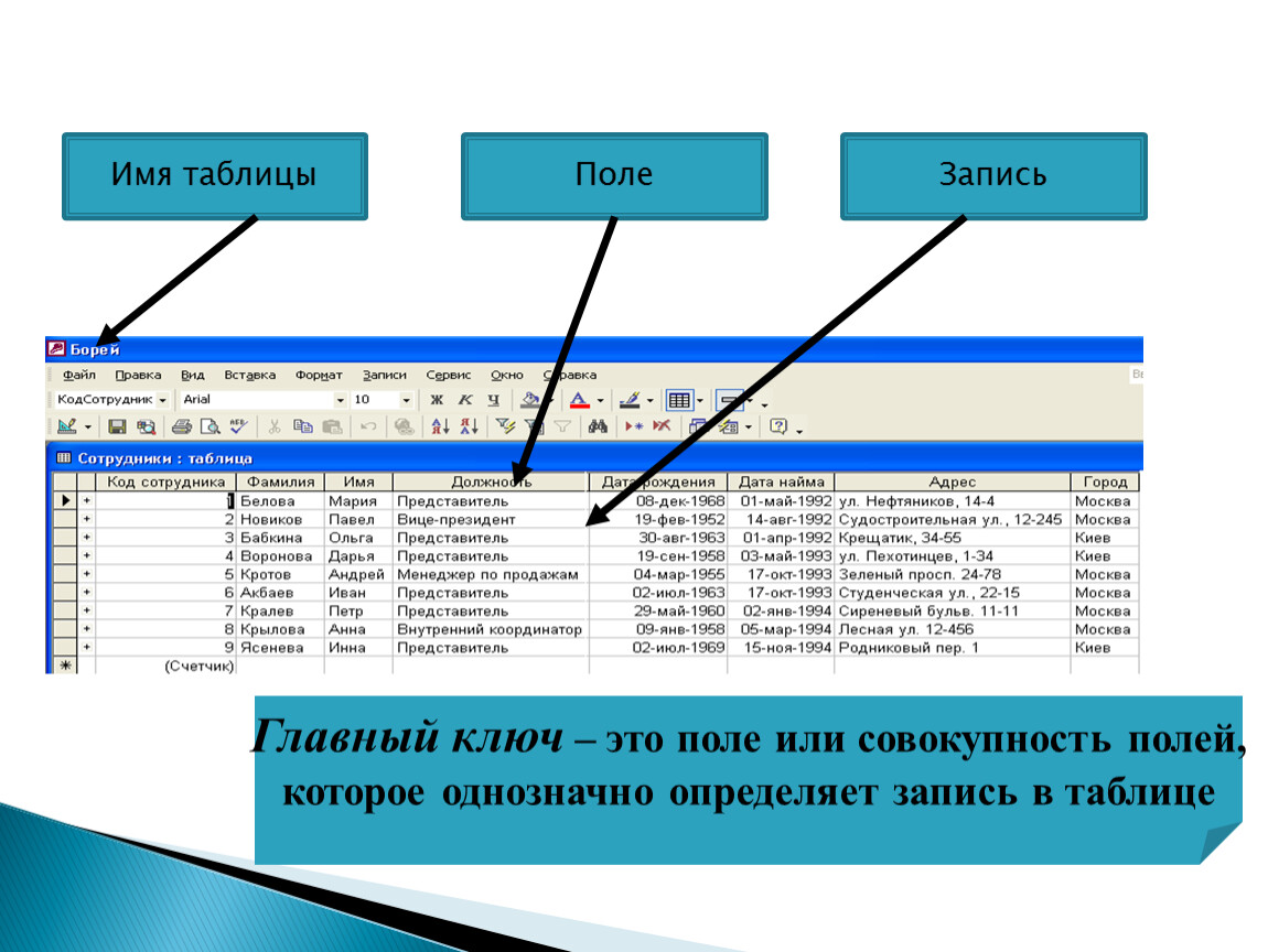 Строку содержащую информацию по. Поля таблицы. Поле таблицы которые определяет запись. Определите поля таблицы.. Имена полей таблицы.