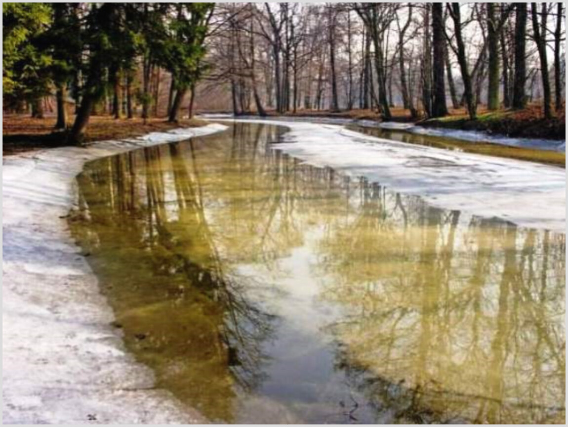 Весна в городе презентация