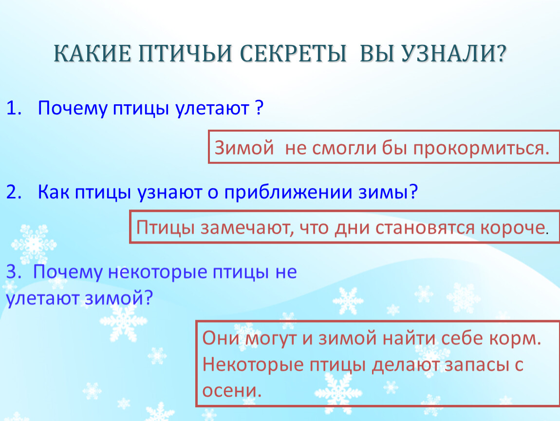 Сообщения стали короче. Приближается зима день стал коротким. Дни зимой становятся короче. Признаки приближения зимы. Как птицы узнают о приближении голодного времени.