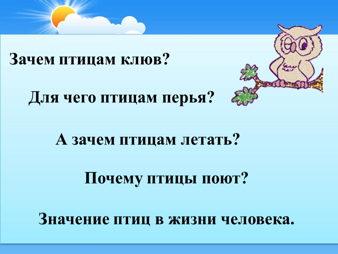 Птицы