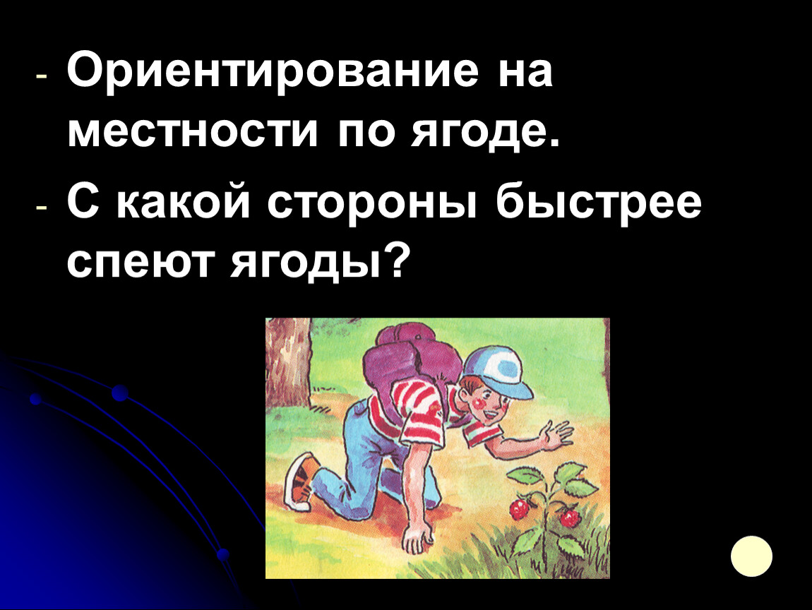 Ориентация на здоровье. Ориентирование на местности по ягодам. Ориентиры на местности по ягодам. Ягоды ориентирование. Как ориентироваться по ягодам.