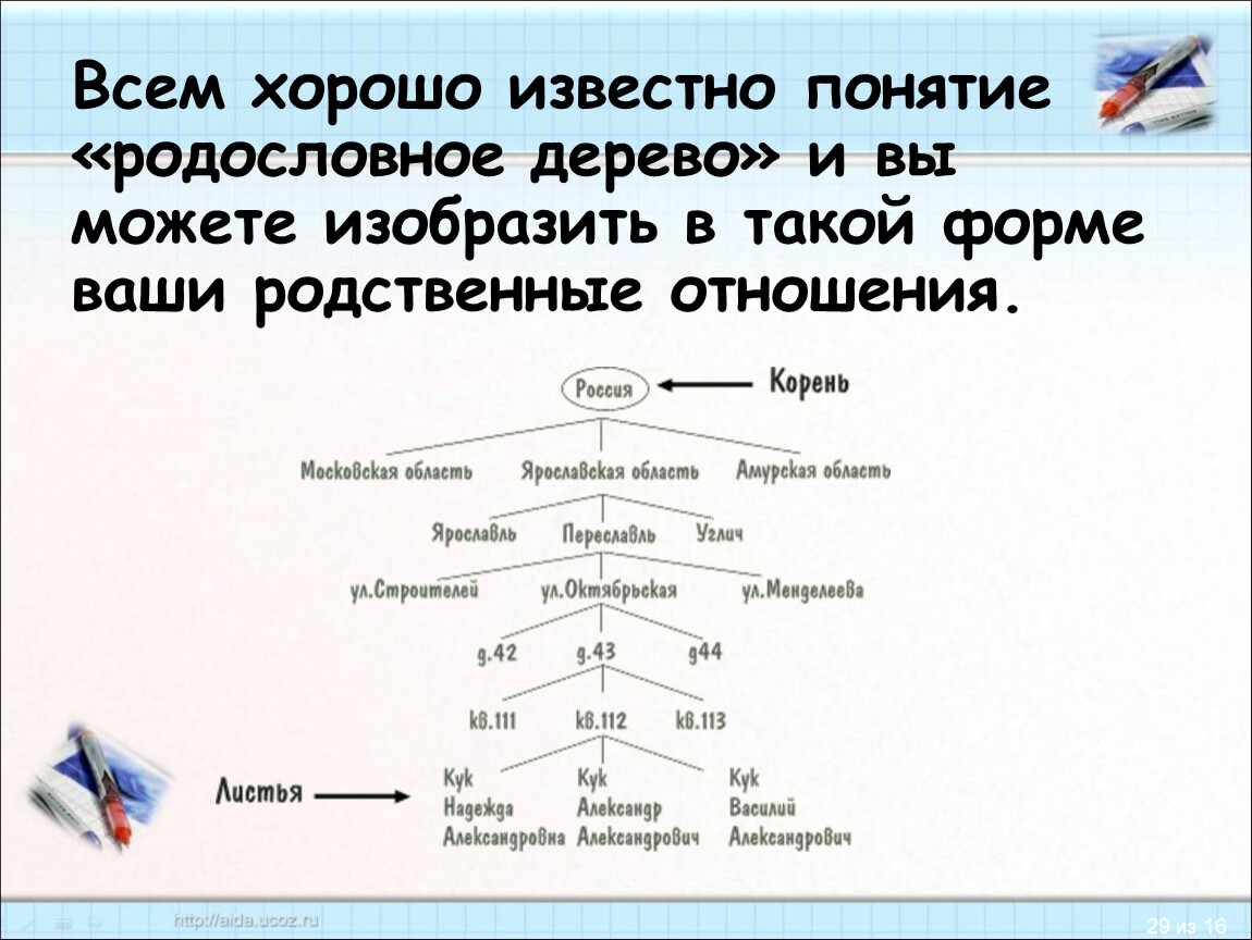 Родственные связи можно представить в виде схемы такую схему еще называют родословное