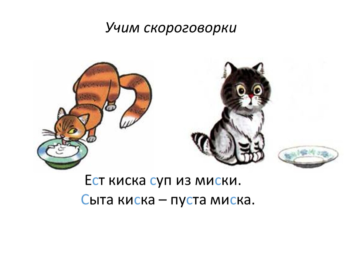 Книжка мошки и коты варят суп