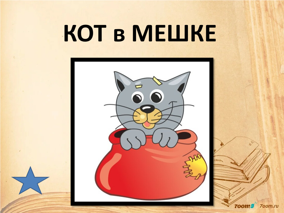 Фразеологизм кот в мешке
