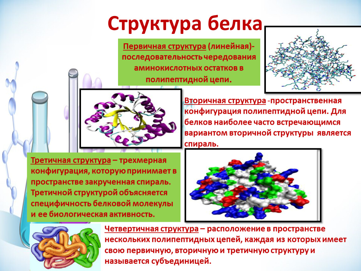 Что делают структурные белки. Белки строение структура. Белки их строение химия. Структура белка химия. Белки состав структура и функции.