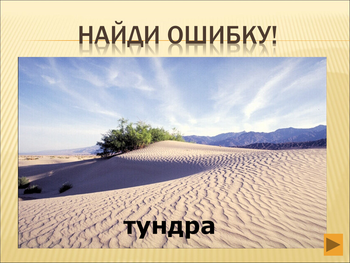 Засуха. Какие растения там бывают в пустыне. Животный мир тропических пустынь и полупустынь.