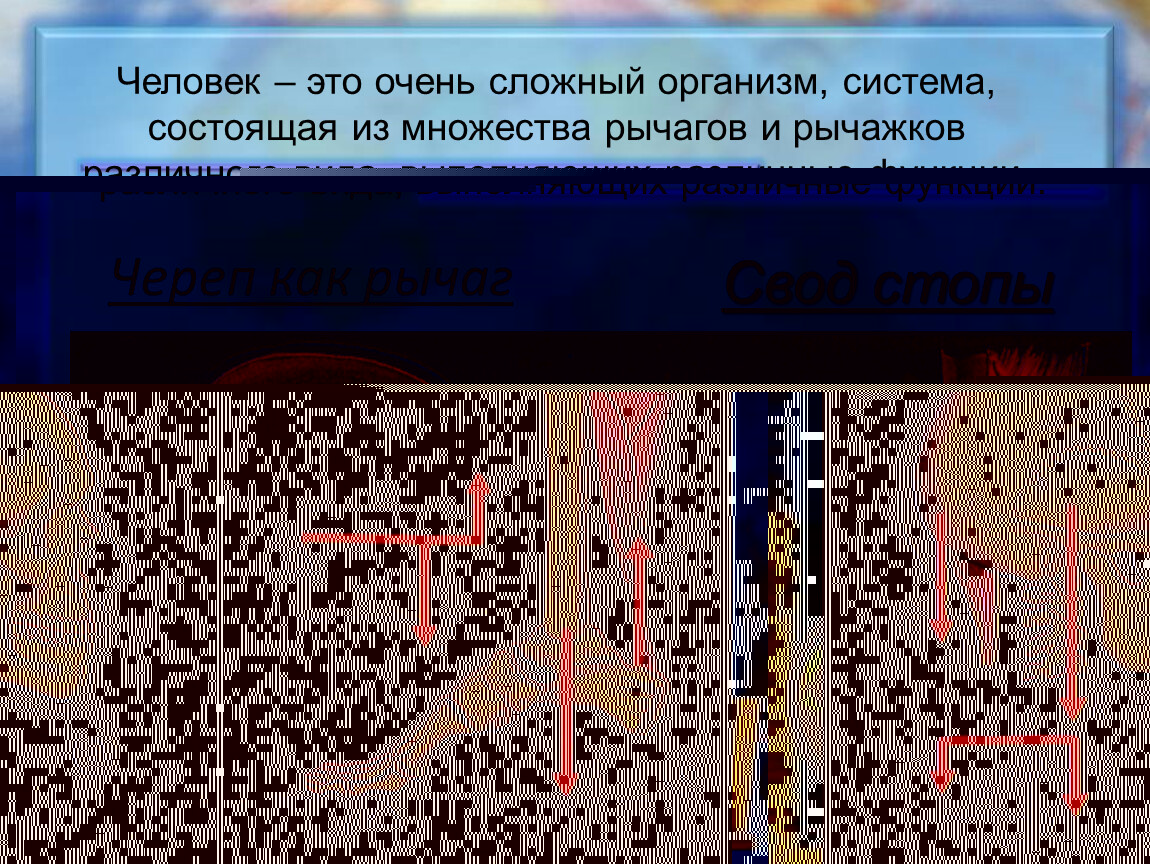 Какое действие на рычаг силы