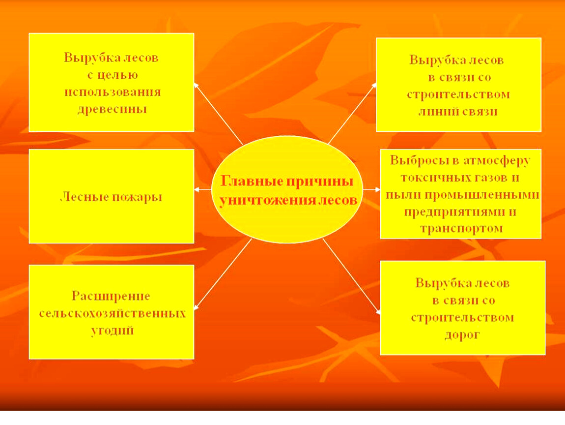 Причины вырубки лесов. Основные причины вырубки лесов. Уничтожение лесов причины. Основные причины вырубки леса.