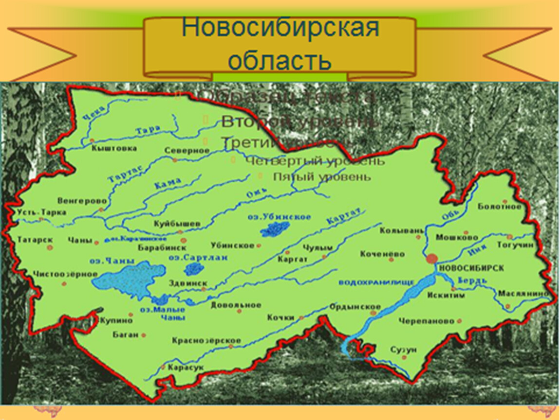 Татарск сколько км. Карта Новосибирской области. Карта Новосибирской области с городами. Реки НСО на карте. Географическая карта Новосибирской области.