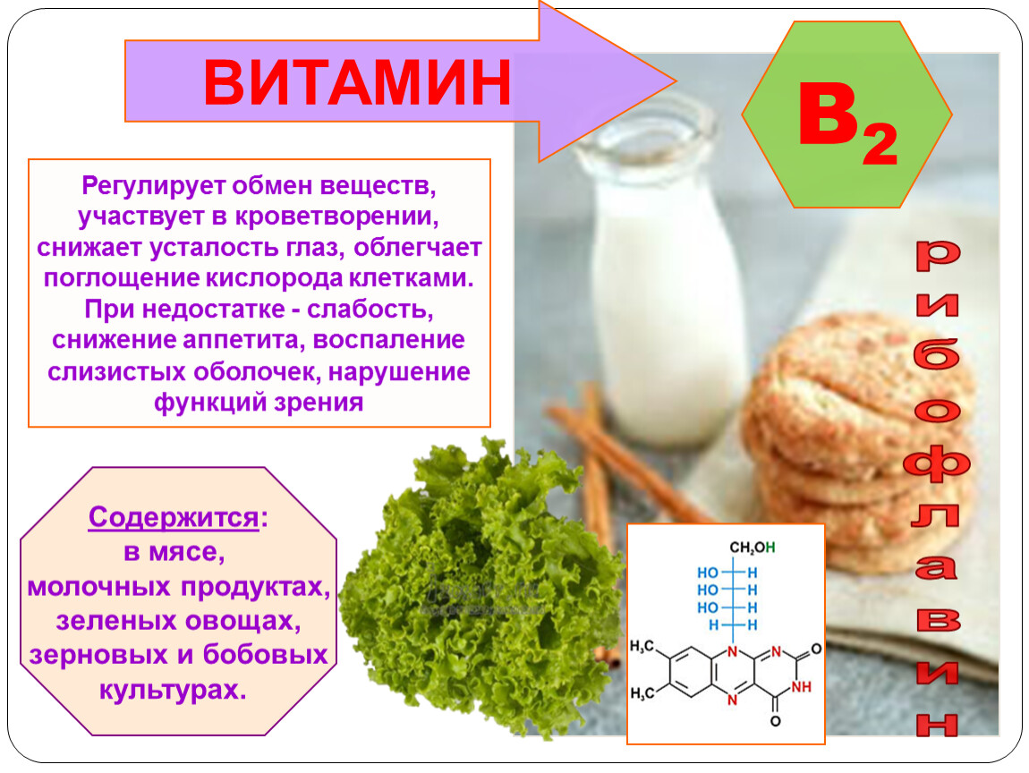 Влияние витаминов на обмен веществ