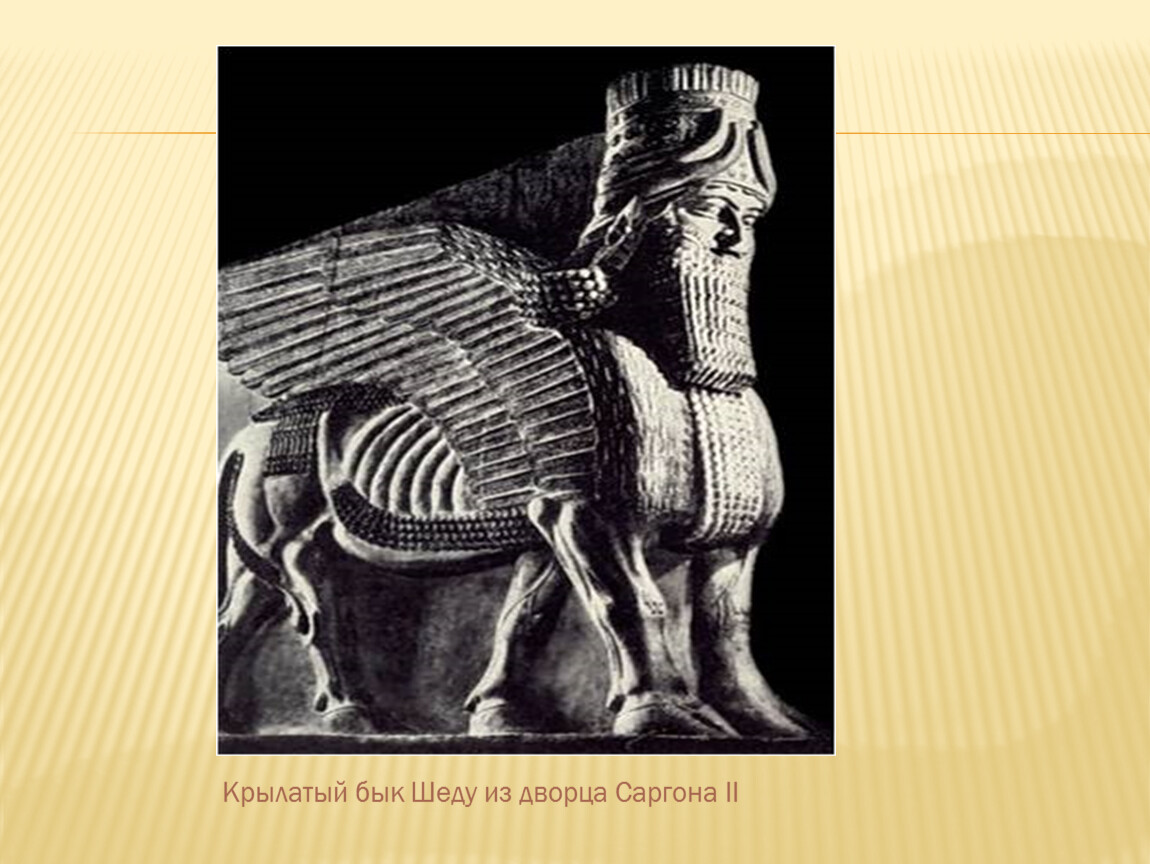 Крылатый бык. Шеду Ассирия. Крылатый бык Шеду из дворца Саргона. Шеду из дворца Саргона 2. Шеду Месопотамия.