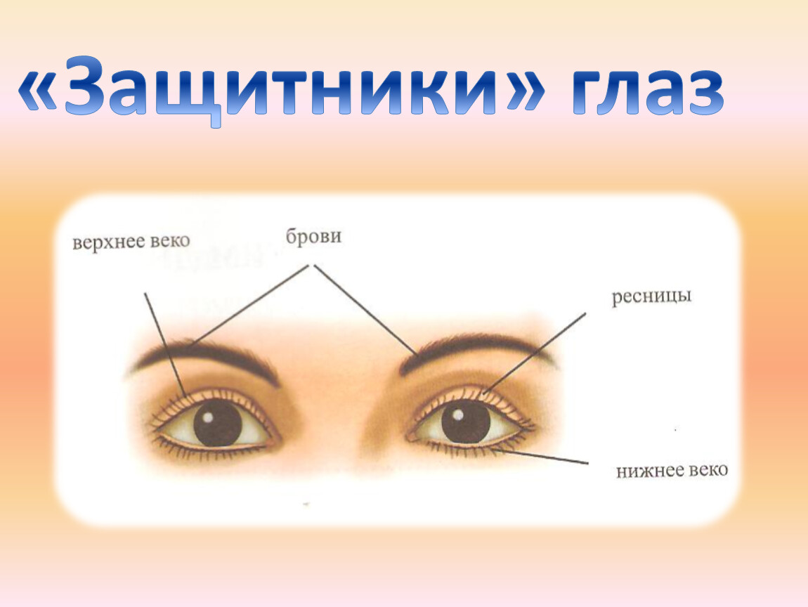 Защита зрения презентация. Защитники глаза.
