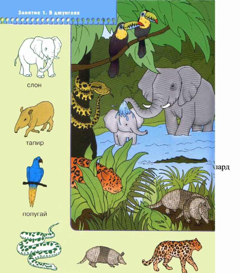 Найди слона на картинке. Джунгли Развивающее занятие для детей. Животные джунглей для дошкольников. Джунгли задания для детей.