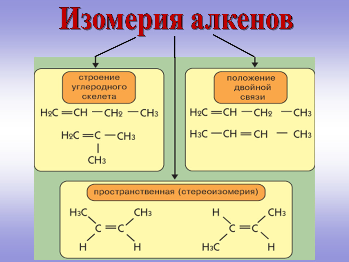 Виды изомерии изомерия углеродного скелета. Изомерия положения двойной связи алкенов. Типы изомерии Алкены. Изомерия углеродного скелета алкенов 10 класс. Изомерия и номенклатура алкенов кратко.