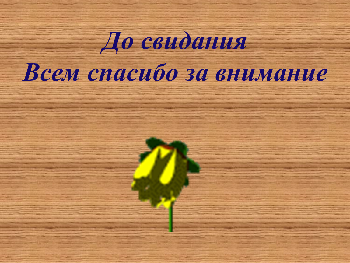 До свидания. Спасибо за внимание до свидания. Спасибо за внимание всем до свидания. Спасибо за внимание досвидание. Слайд до свидания.