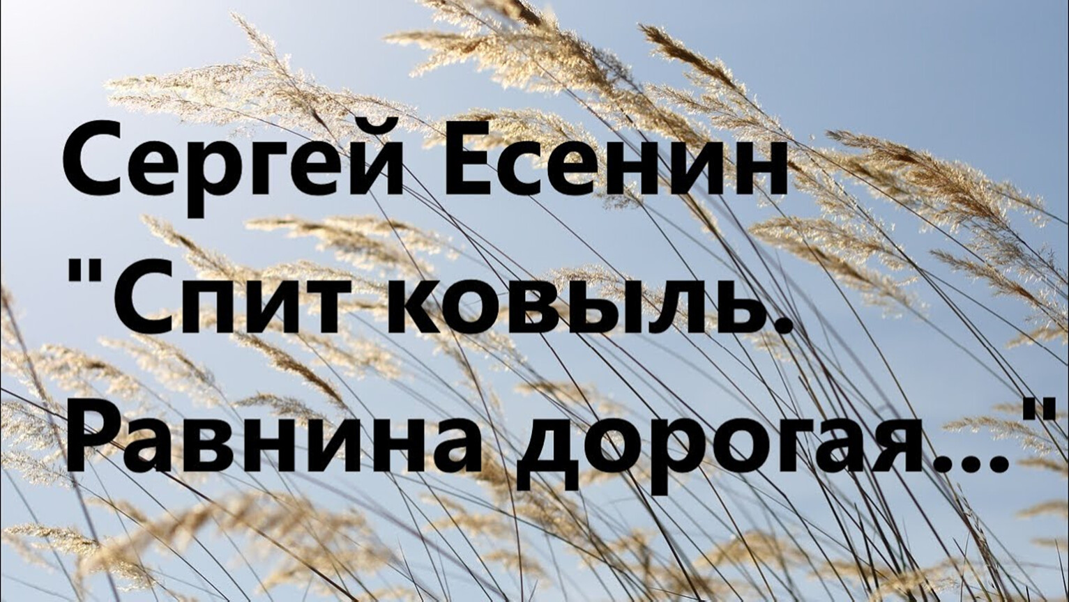 Ковыль стихотворение есенина