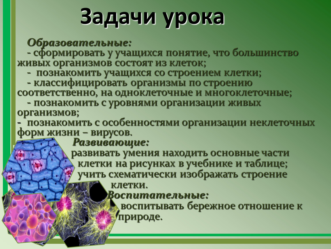 С какой целью разрабатываются классификации организмов. Цели и задачи урока по биологии. Классификация организмов по питанию. Классификация организмов по п.б.прайсу. Проектная задача на уроке биологии.