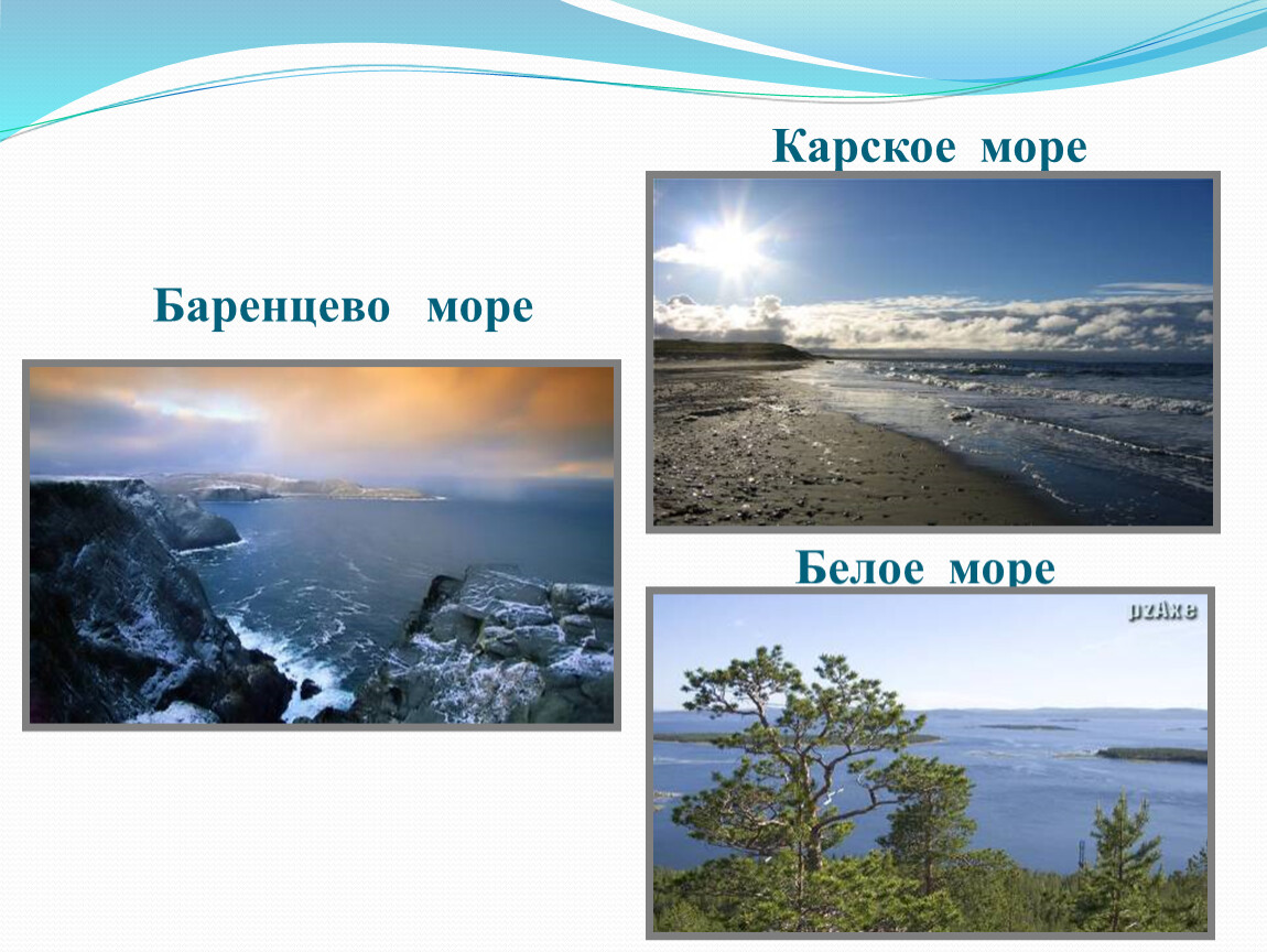 Карское море презентация