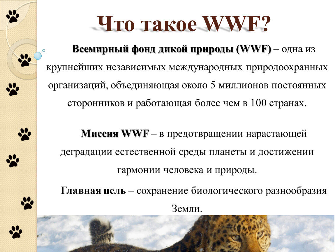 Дикой природы wwf. Всемирный фонд дикой природы цели. WWF презентация. Всемирный фонд дикой природы World Wildlife Fund (WWF). Организация WWF сообщение.