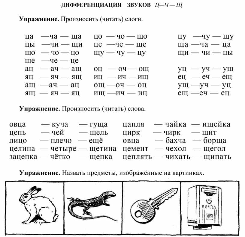 Дифференциация ц с в картинках