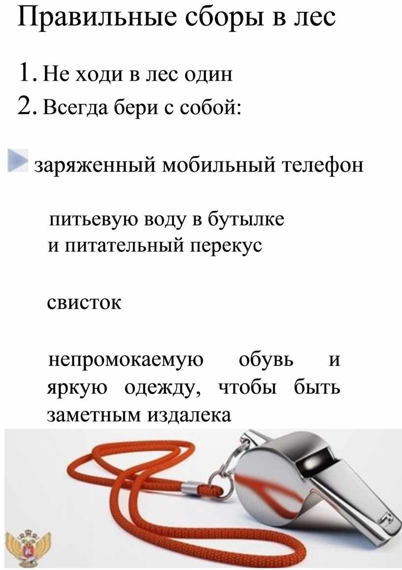 Правильные сборы в лес 1.
