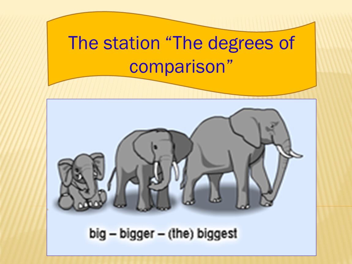 Comparisons big. Degrees of Comparison для детей. Сравнительная степень животные. Картинки для сравнения Comparisons. Comparative degrees в картинках для детей.