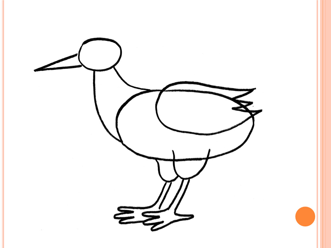 Презентация рисуем птицу 2 класс. Изо 2 класс птицы. Рисунки птицы на изо. Рисование птиц 2 класс. Сказочная птица поэтапное рисование 2 класс.