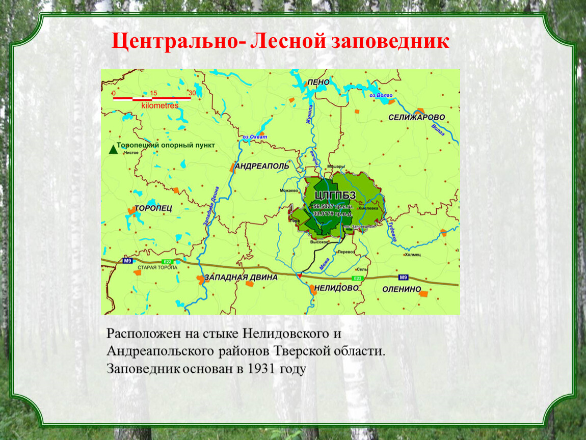 Презентация заповедники тверской области