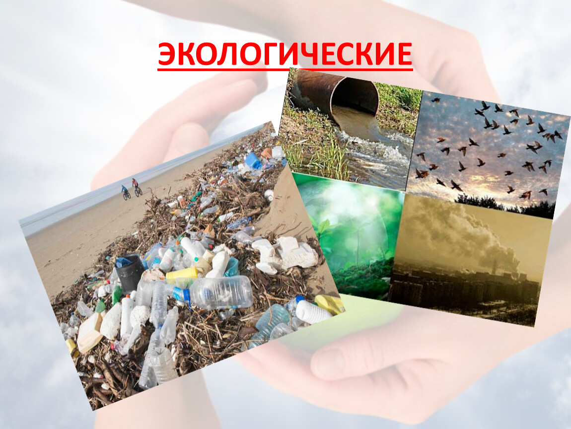 Услуги какие бывают окружающий. Условия и методы сохранения природной среды. Способы сохранения природных ресурсов. Технология 7 класс сохранение природной среды. Какие бывают экологические проблемы в Новосибирске.