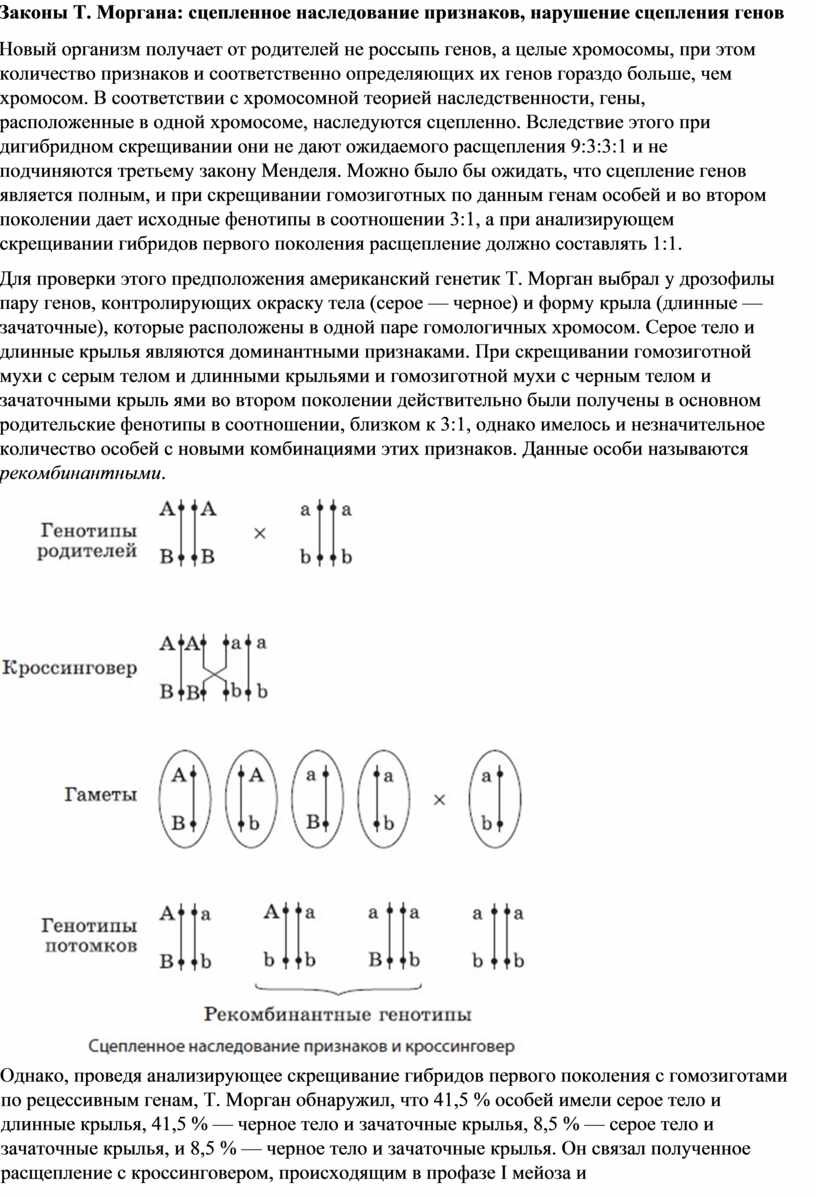 Сцепленное наследование генов закон т моргана