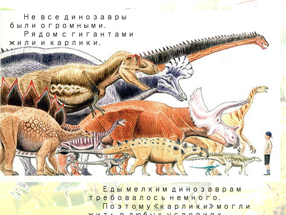 Какой динозавр сильнее. Самый большой травоядный динозавр. Травоядные динозавры. Маленькие травоядные динозавры. Сравнение динозавров.