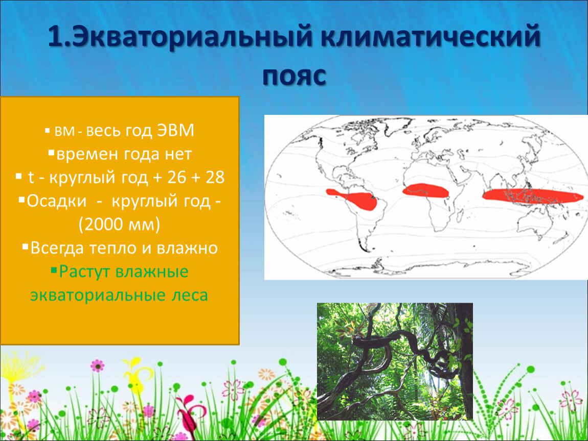 Экваториальный пояс климат. Экваториальный климатический пояс. Климатические пояса экваториальный пояс. Влажный экваториальный климатический пояс. Климат экваториального климатического пояса.