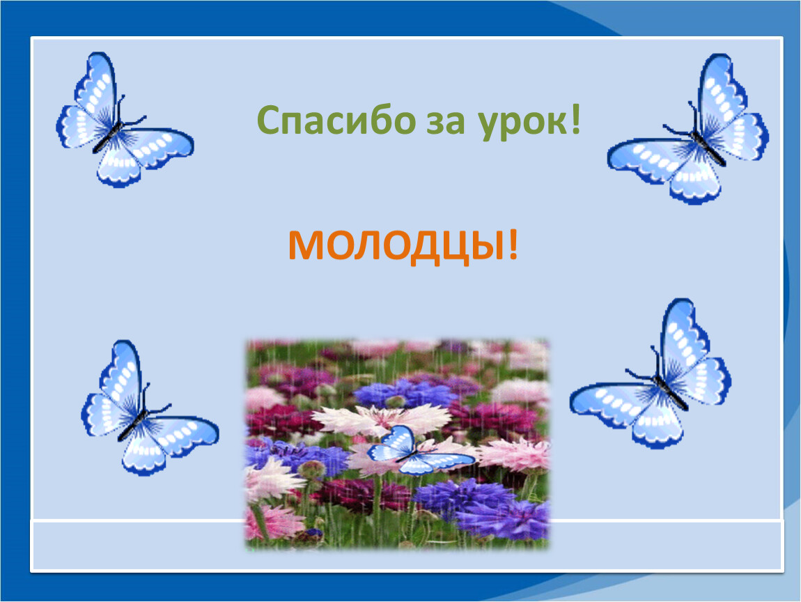 Уроки 1 окружающий мир. Окружающий мир 1 класс цветы и бабочки. Почему мы не будем рвать цветы и ловить бабочек 1 класс. Окружающий мир 1 класс почему мы не будем рвать цветы и ловить бабочек. Урок окружающего мира почему мы не будем рвать цветы и ловить бабочек.