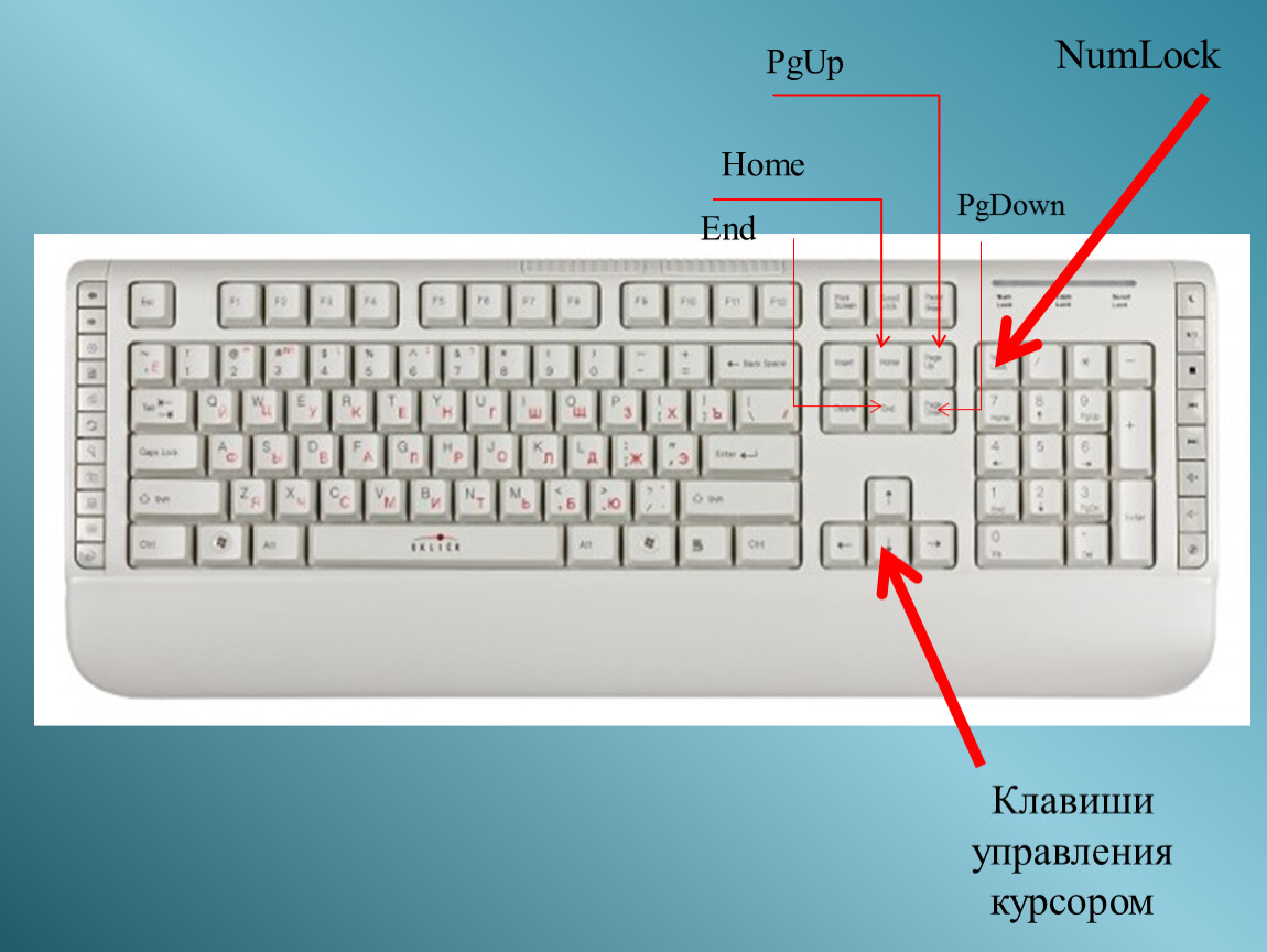 Найти на сайте какие клавиши