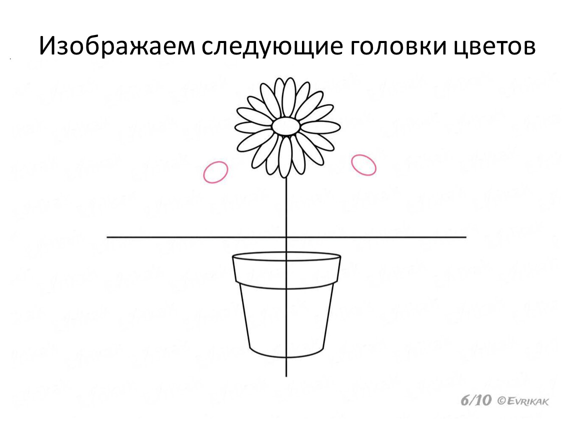 Учимся рисовать цветок в горшке