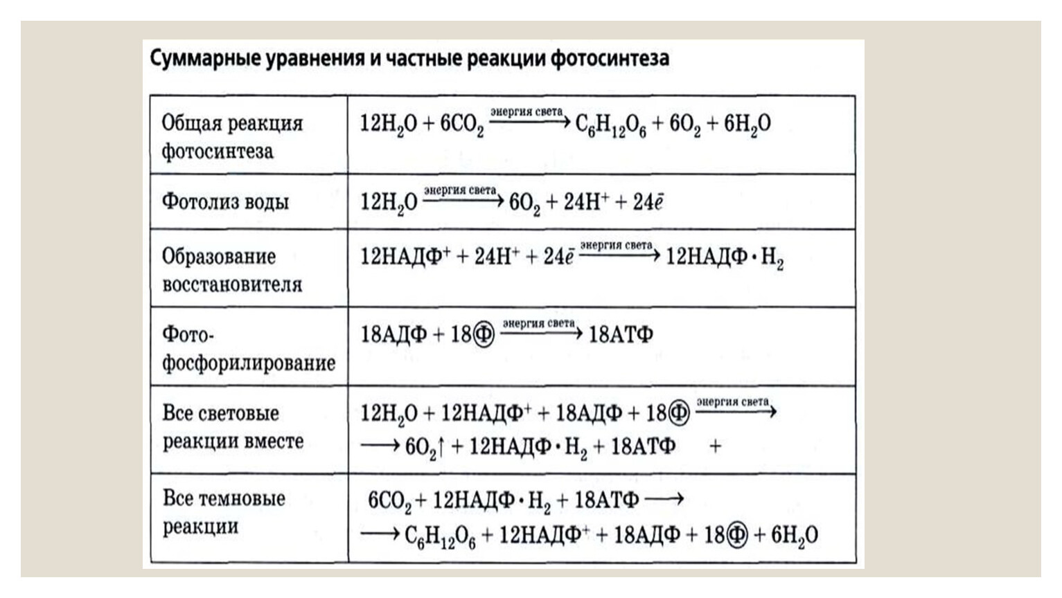 Таблица реакции фотосинтеза. Уравнения реакций фотосинтеза и хемосинтеза. Уравнение реакции фотосинтеза химия. Суммарная реакция фотосинтеза формула. Фотосинтез химическая реакция.
