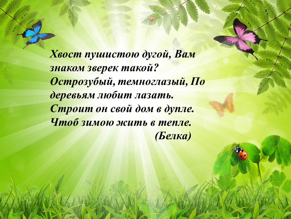 Сочинение Рассуждение В Публицистическом Стиле Берегите Природу