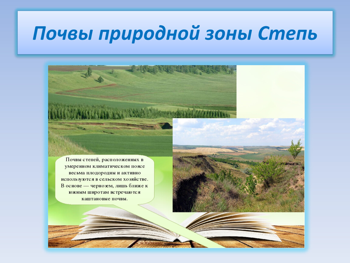 Степная природная зона почва. Степь природная зона. Природная зона степь почва. Природные зоны 4 класс презентация. Природные зоны России зона степей.
