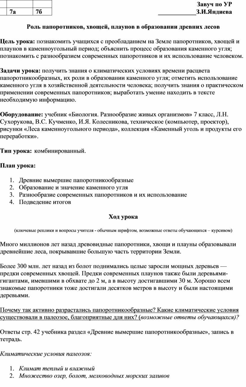 Роль папоротников, хвощей, плаунов в образовании древних лесов