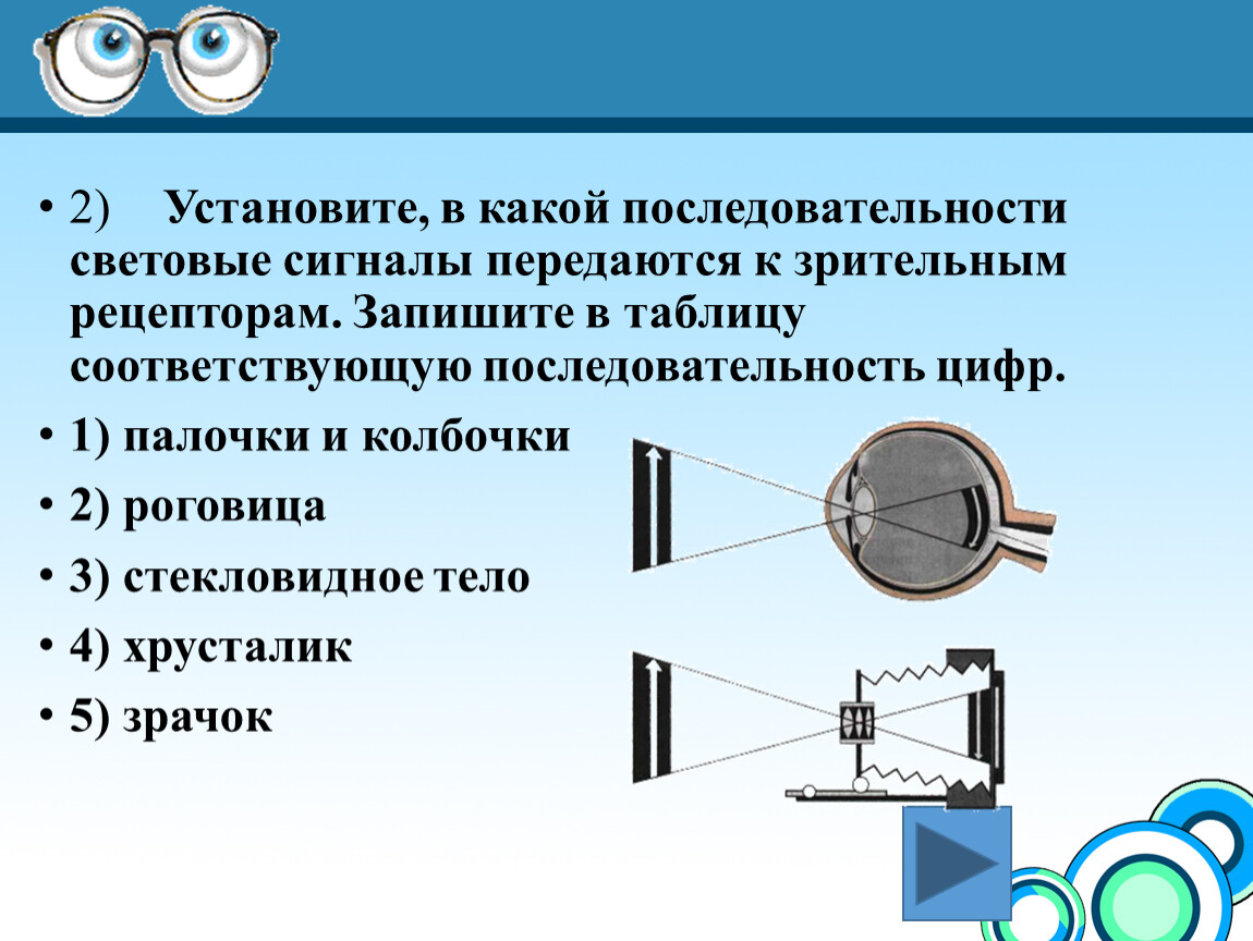 Презентация на тему зрительный анализатор 8 класс биология