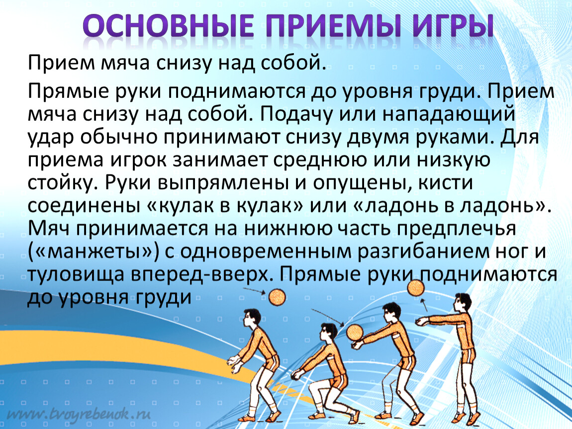 Презентация 