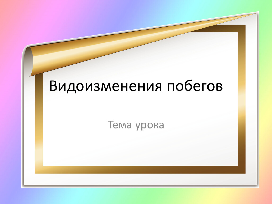 З чого. Видеоурок с презентацией. Содержание крахмала в чипсах вывод.