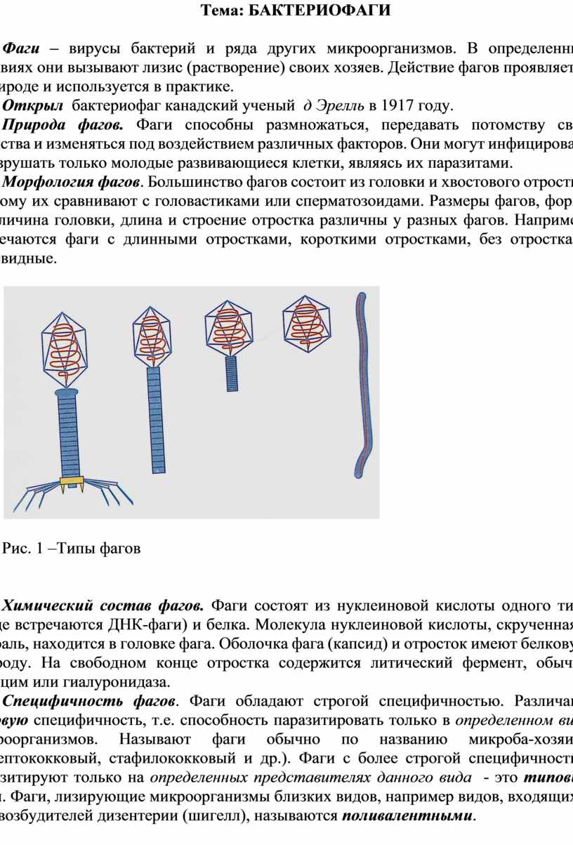 Теоретический материал по теме 