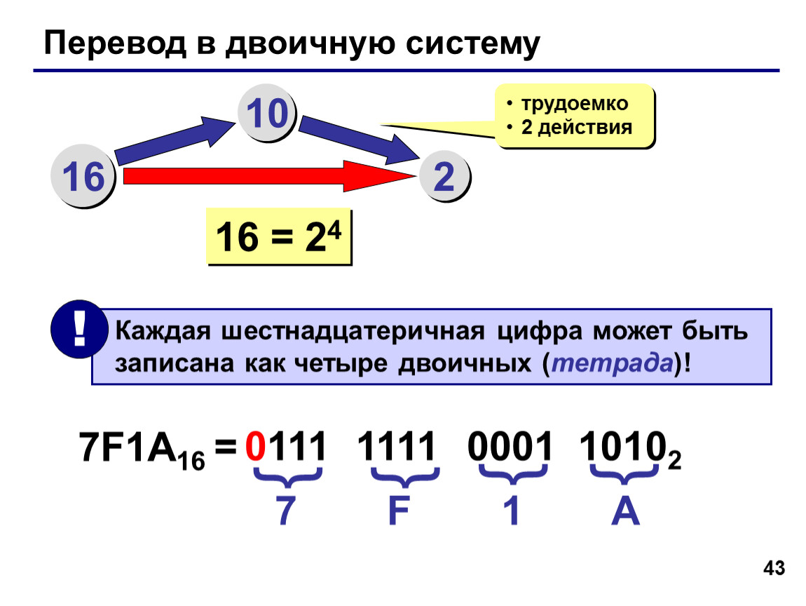 Система счисления алгоритм действий. Как переводить в двоичную систему счисления Информатика. Перевести из шестнадцатеричной в двоичную 2в. 39 Перевести в двоичную систему счисления. Как перевести из 10 системы в двоичную Информатика.