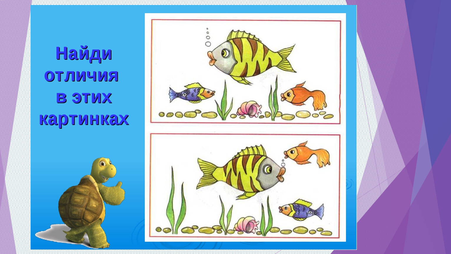 рыбки аквариумные картинки для детей