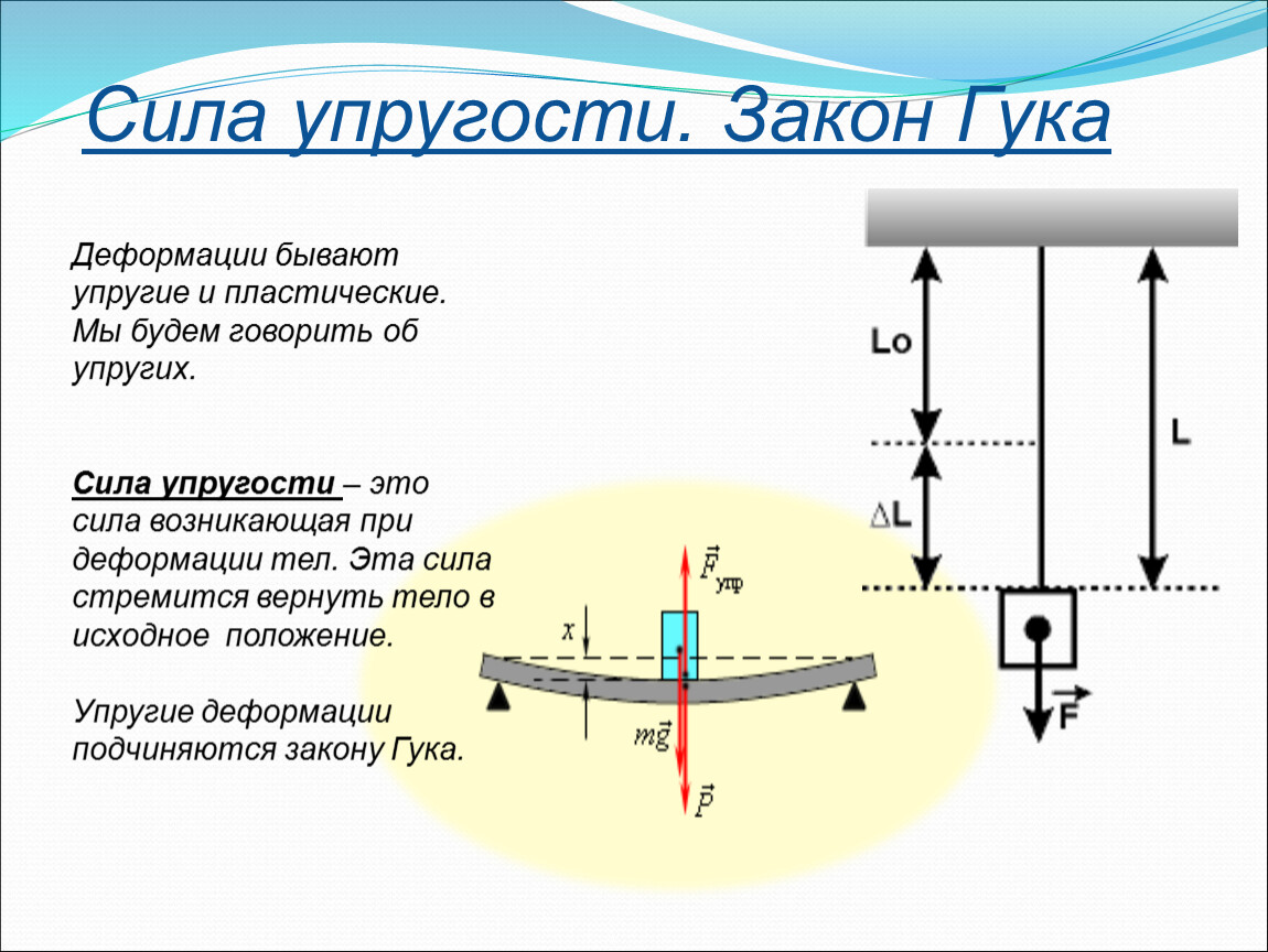 Силы в природе физика 7 класс. Направление силы упругости в физике 7 класс. Силы в природе: сила упругости, закон Гука.. Сила упругости формула и рисунок. Сила упругости физика кратко.