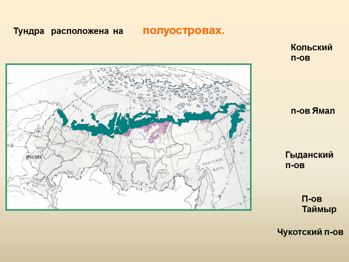 Тундра зона распространения. Местоположение природной зоны тундры. Тундра России на карте России. Расположение тундры на карте. Географическое положение тундры на карте.