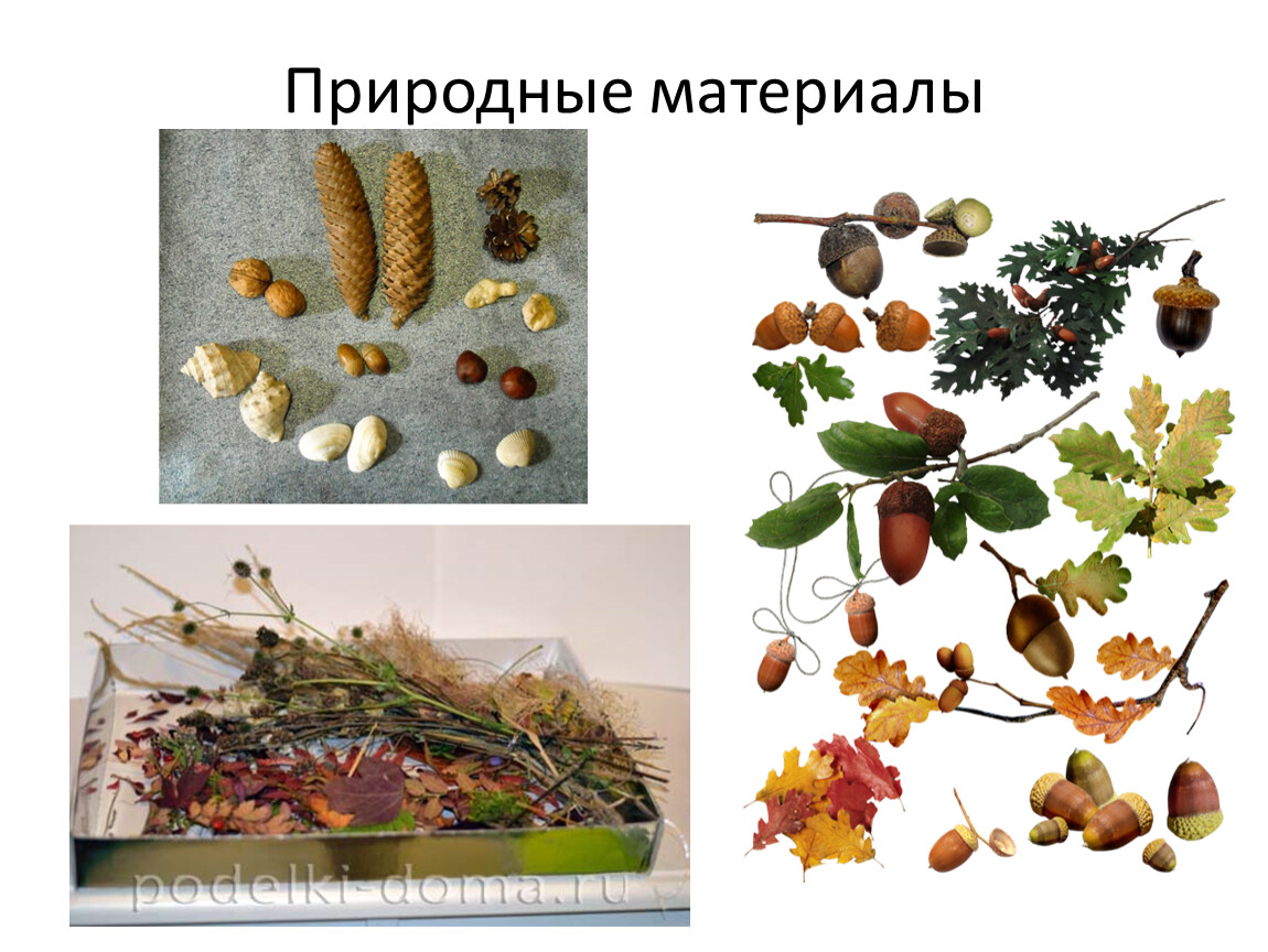 Природными материалами являются. Разнообразие природного материала. Растительные природные материалы. Виды природных материалов. Природные материалы растительного происхождения.