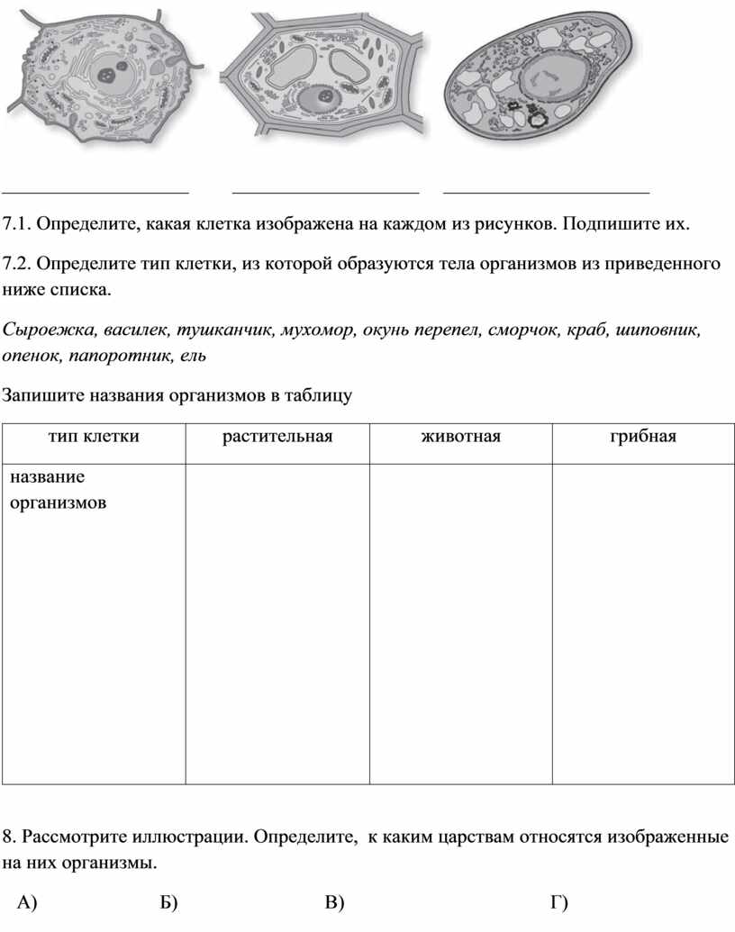 На рисунке изображена клетка в разные периоды времени какое