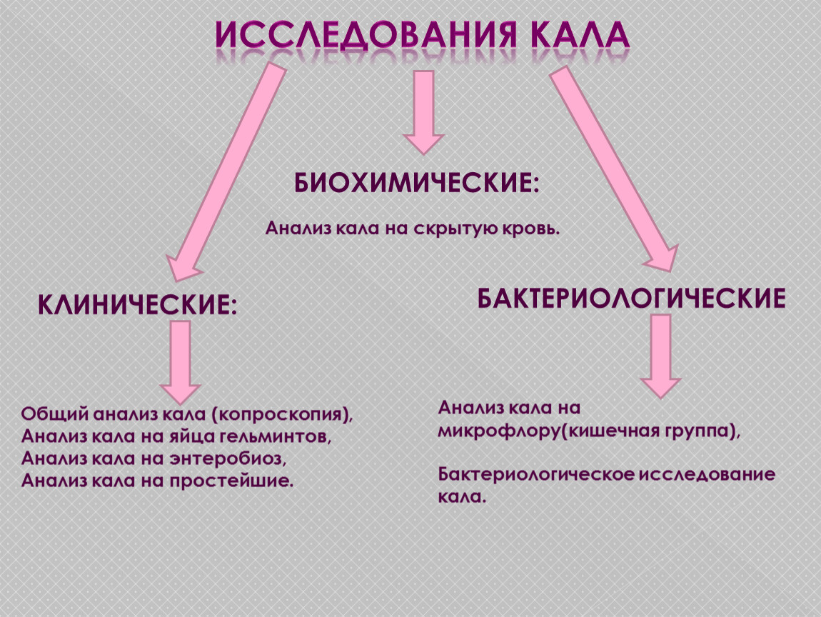 Методы исследований фекалий. Виды лабораторных исследований кала. Клиническое исследование кала. Схема исследования кала. Лабораторные методы исследования кала.